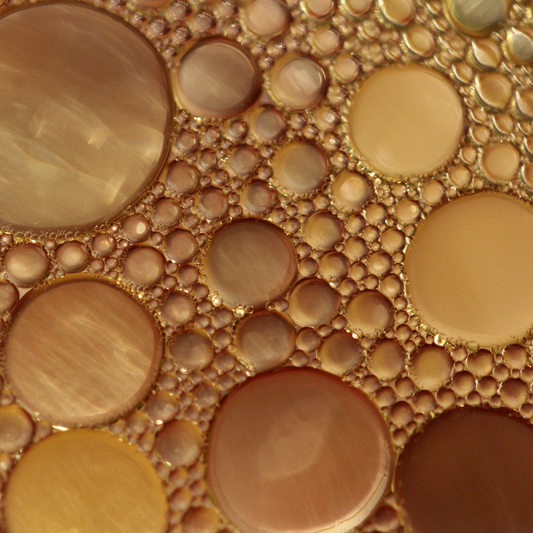 Que sont les huiles végétales et à quoi servent-elles ?