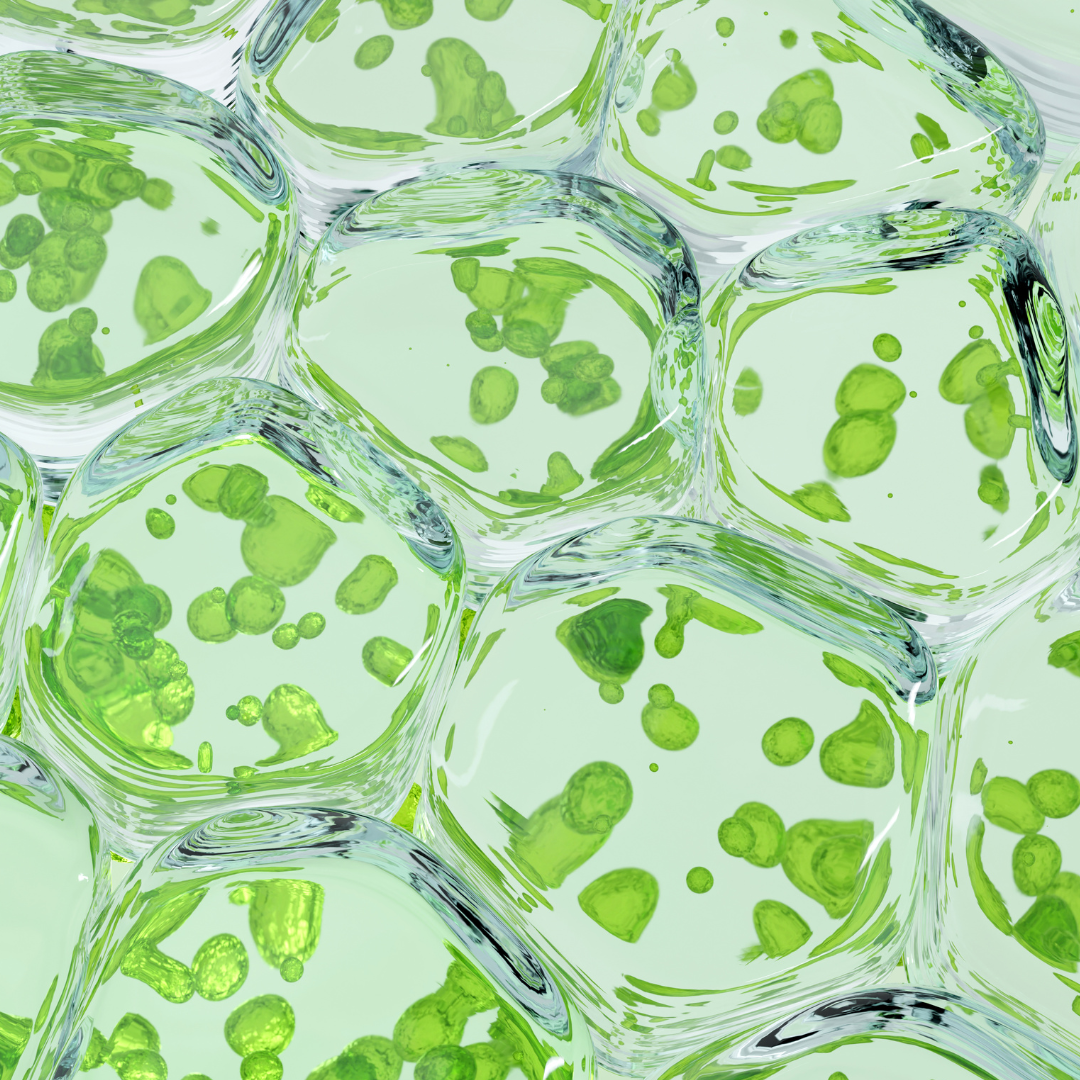 Comment faire un bon nettoyage de peau ?