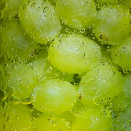 Quels sont les bienfaits du resveratrol