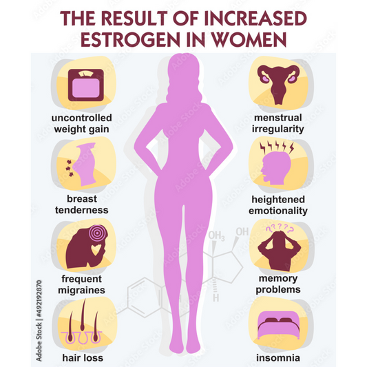 What is the role of estrogen?