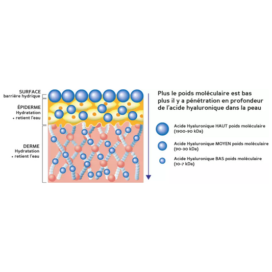 What are the benefits of hyaluronic acid for the skin?