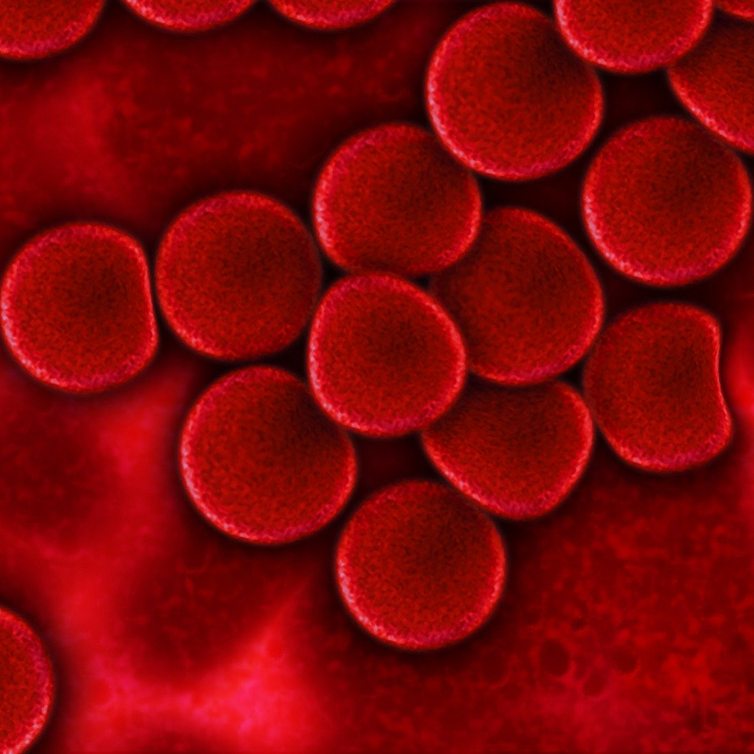 What is Caprylic Capric Triglyceride?