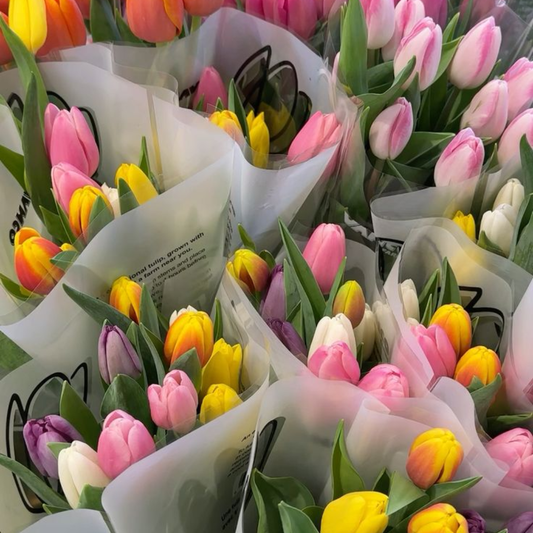 5 tips to prepare your skin for spring