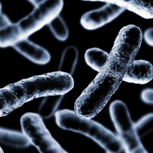 Probiotics and prebiotics | rebalance your skin