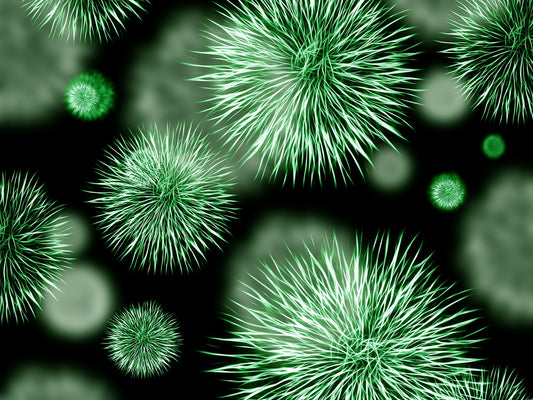 Cosmetics | what are the best natural probiotics?