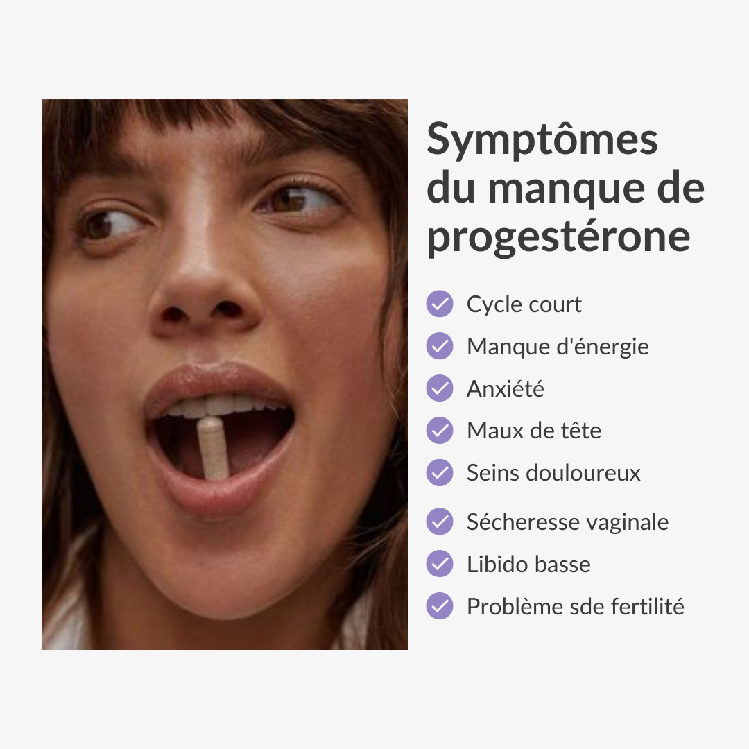 Quel est le rôle de la progestérone hormone ?