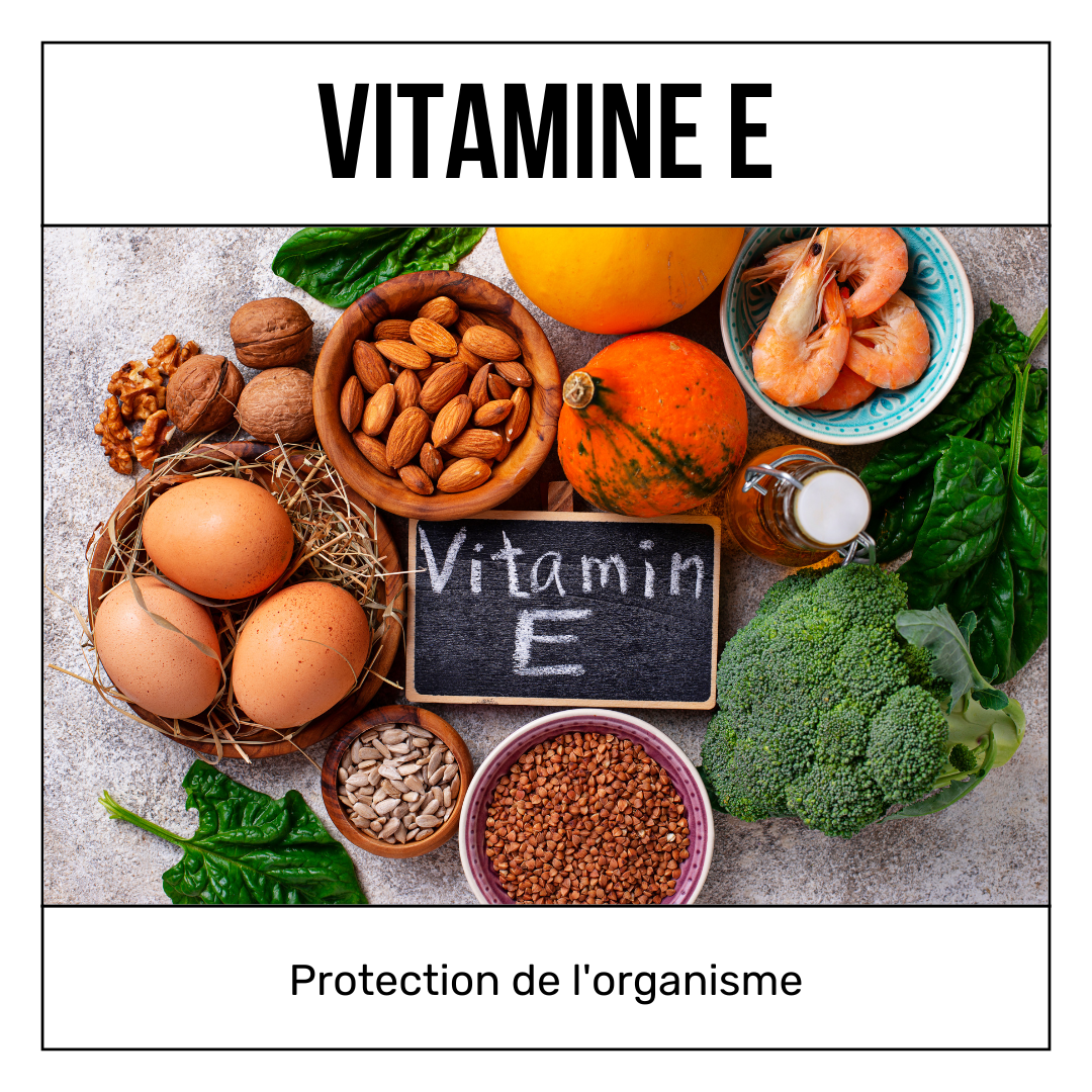 Quels sont les bienfaits de la vitamine E ?