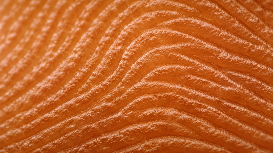 Peau en gros plan, grain et texture dorée, lumière naturelle