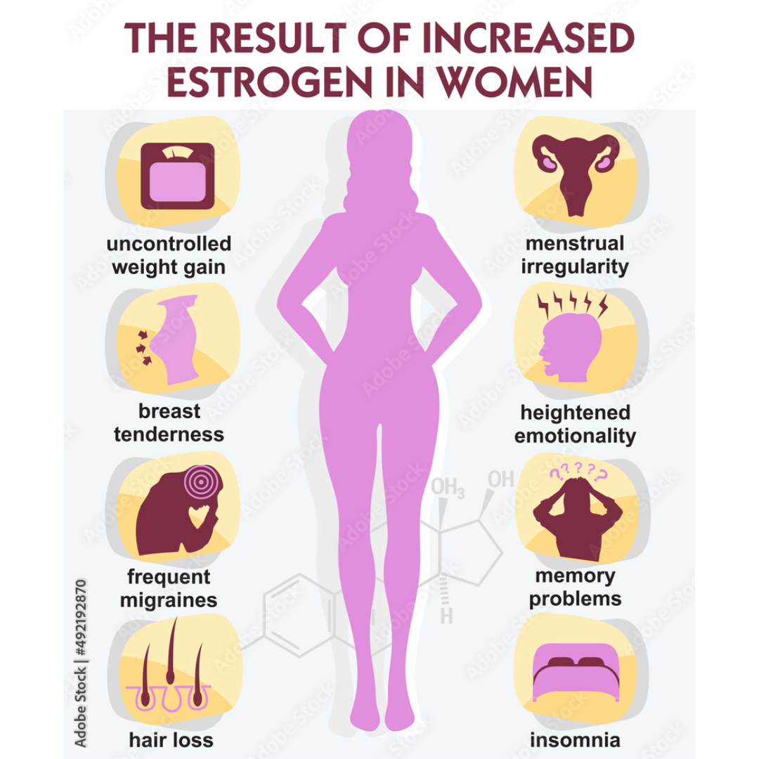 What is the role of estrogen?