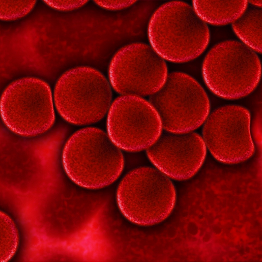 What is Caprylic Capric Triglyceride?