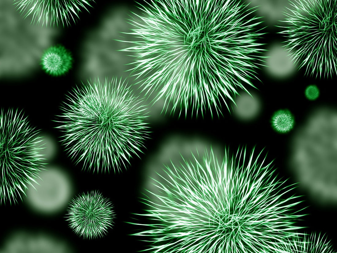 Cosmetics | what are the best natural probiotics?